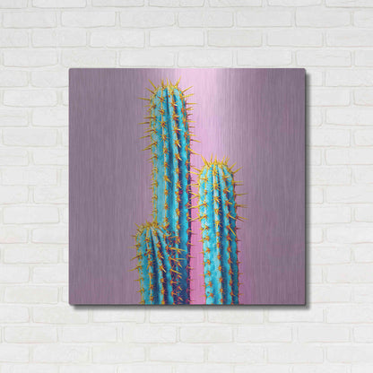 Luxe Metal Art 'Bubble Gum Cactus' by Epic Portfolio, Metal Wall Art,36x36