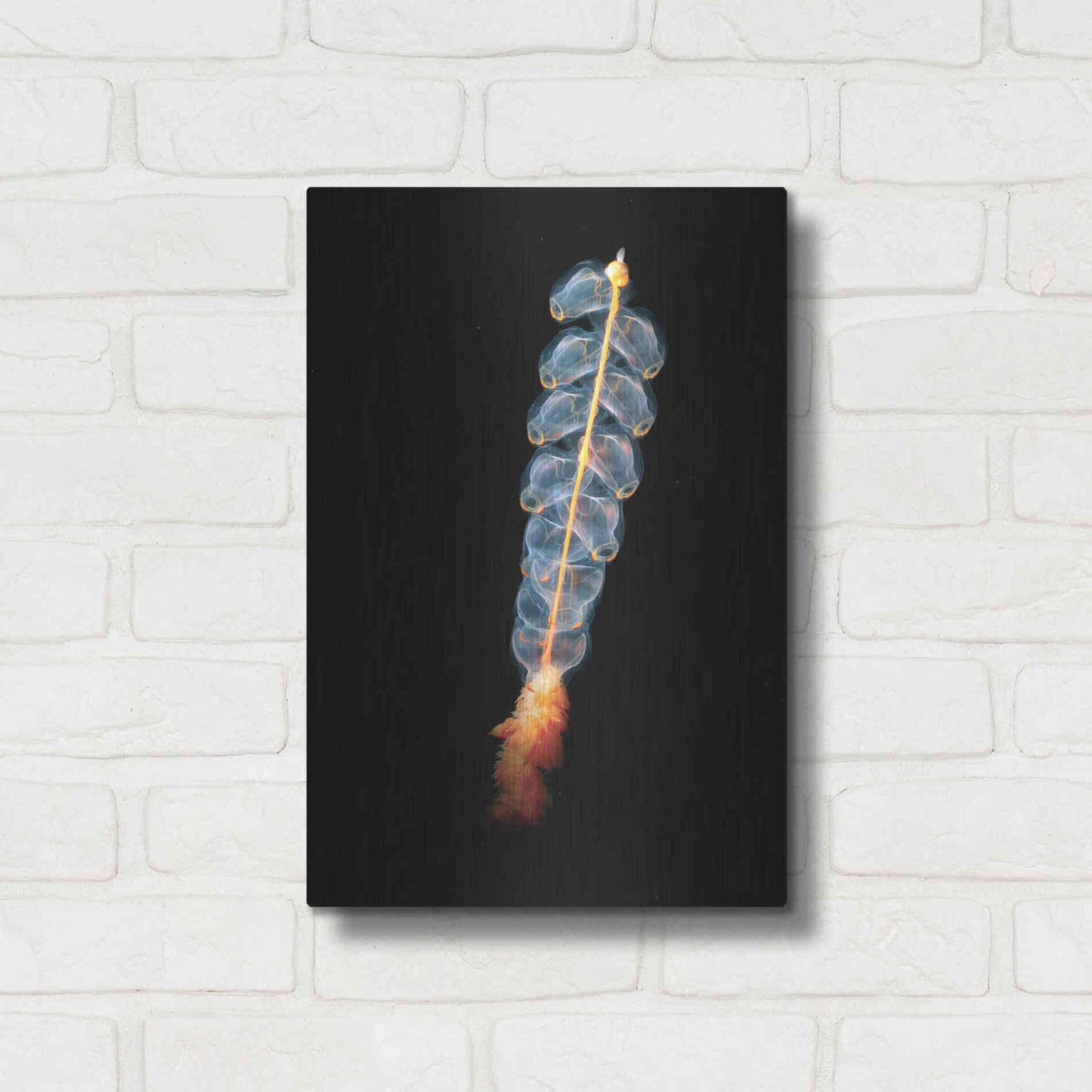 Luxe Metal Art 'Deep Sea Rocket' by Epic Portfolio, Metal Wall Art,12x16