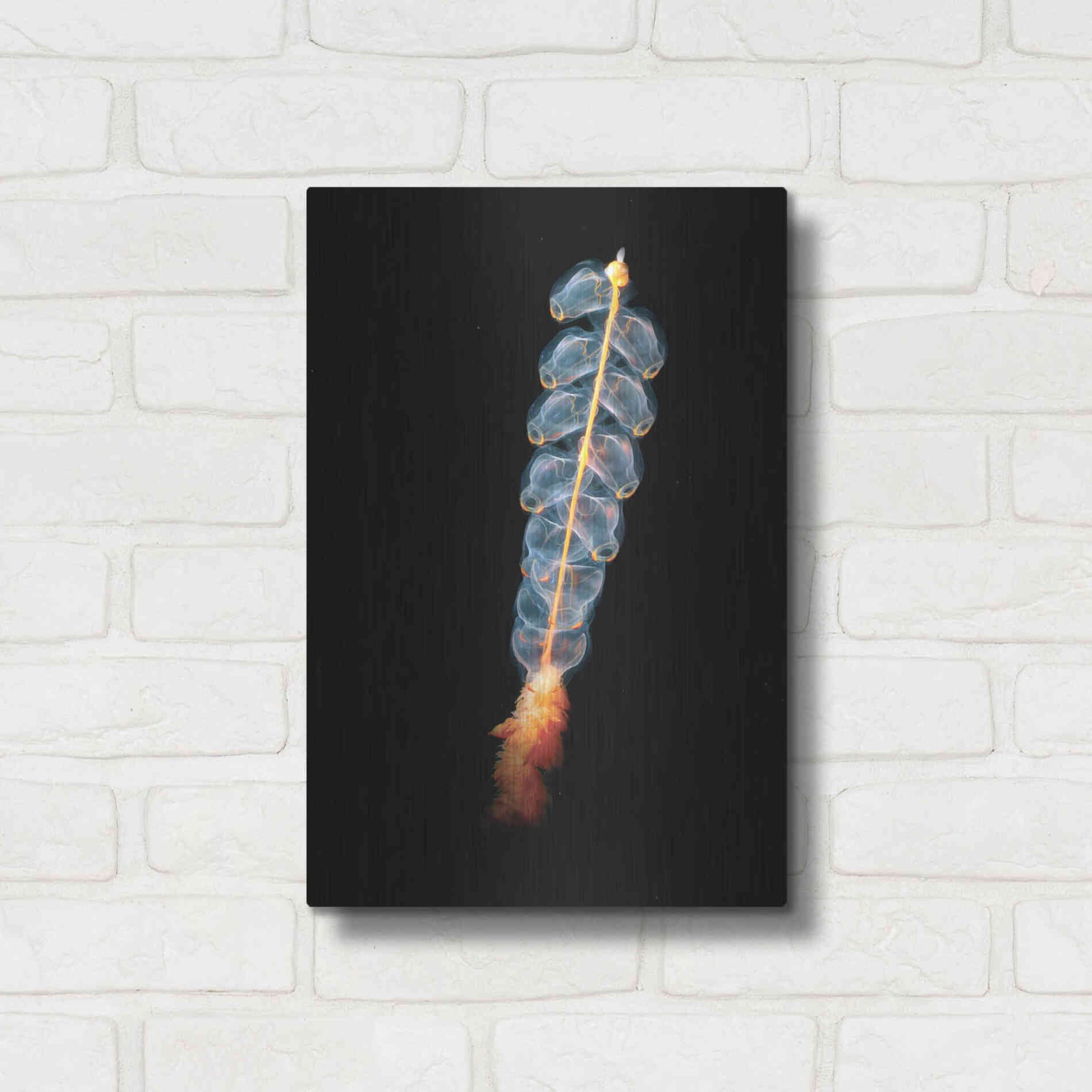 Luxe Metal Art 'Deep Sea Rocket' by Epic Portfolio, Metal Wall Art,12x16