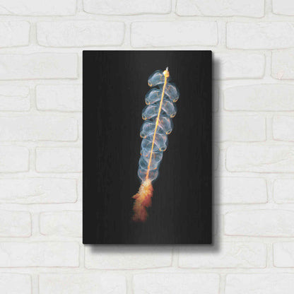 Luxe Metal Art 'Deep Sea Rocket' by Epic Portfolio, Metal Wall Art,12x16