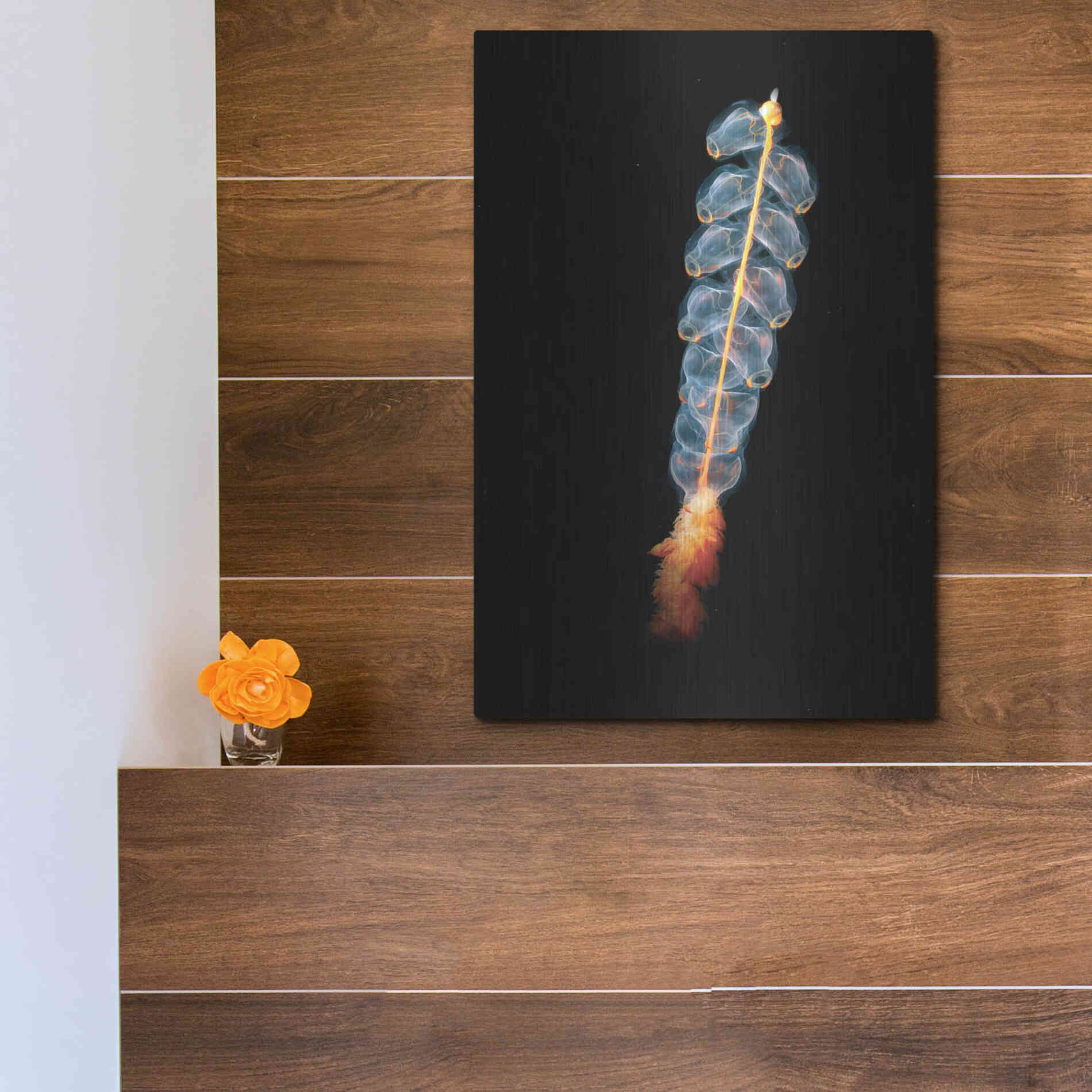 Luxe Metal Art 'Deep Sea Rocket' by Epic Portfolio, Metal Wall Art,12x16