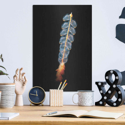Luxe Metal Art 'Deep Sea Rocket' by Epic Portfolio, Metal Wall Art,12x16