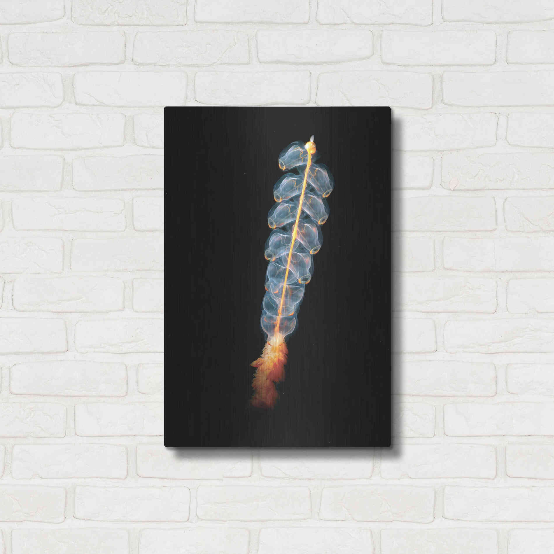 Luxe Metal Art 'Deep Sea Rocket' by Epic Portfolio, Metal Wall Art,16x24