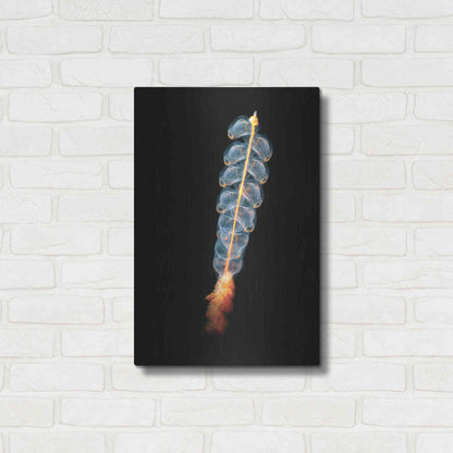 Luxe Metal Art 'Deep Sea Rocket' by Epic Portfolio, Metal Wall Art,16x24