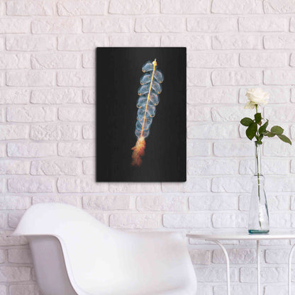 Luxe Metal Art 'Deep Sea Rocket' by Epic Portfolio, Metal Wall Art,16x24
