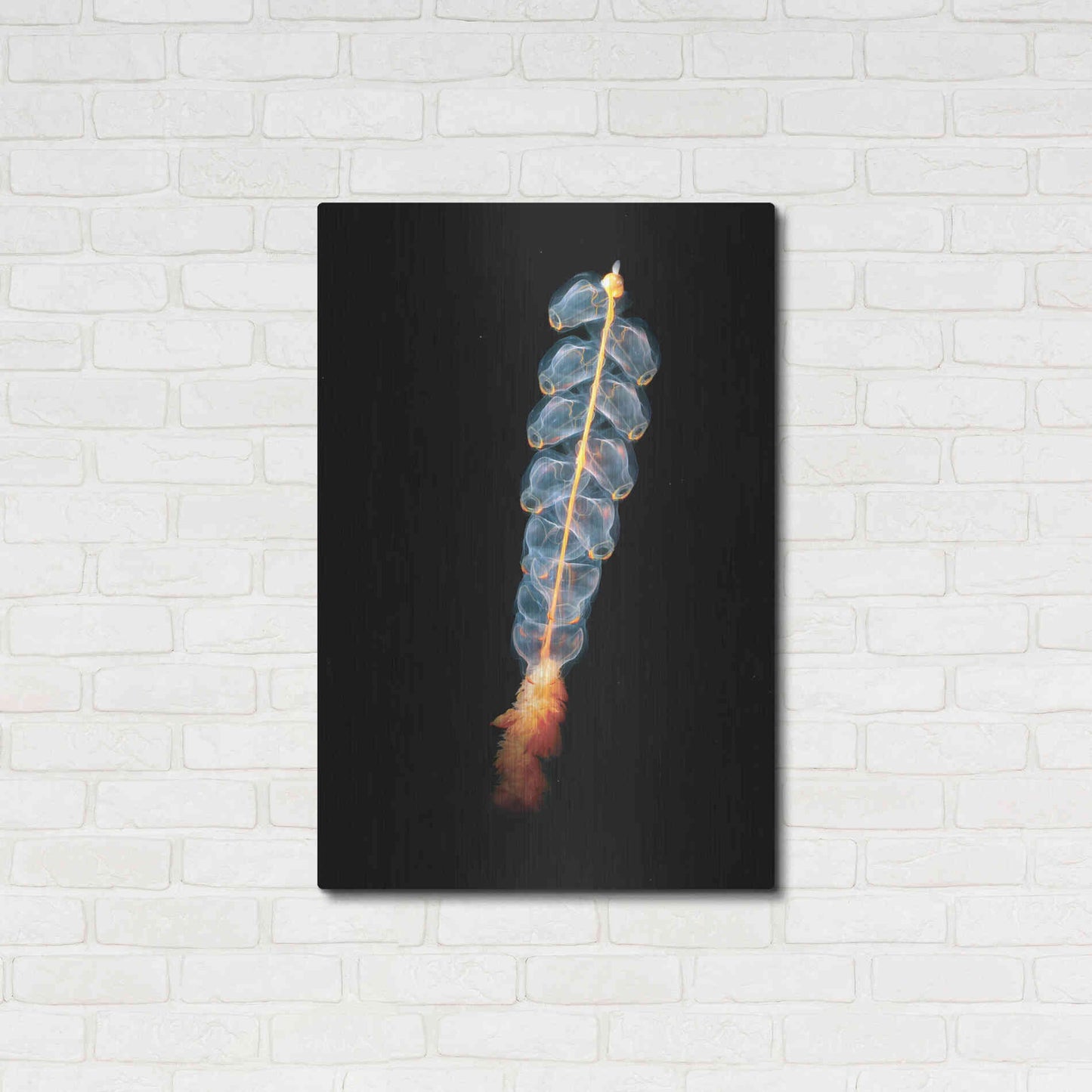 Luxe Metal Art 'Deep Sea Rocket' by Epic Portfolio, Metal Wall Art,24x36