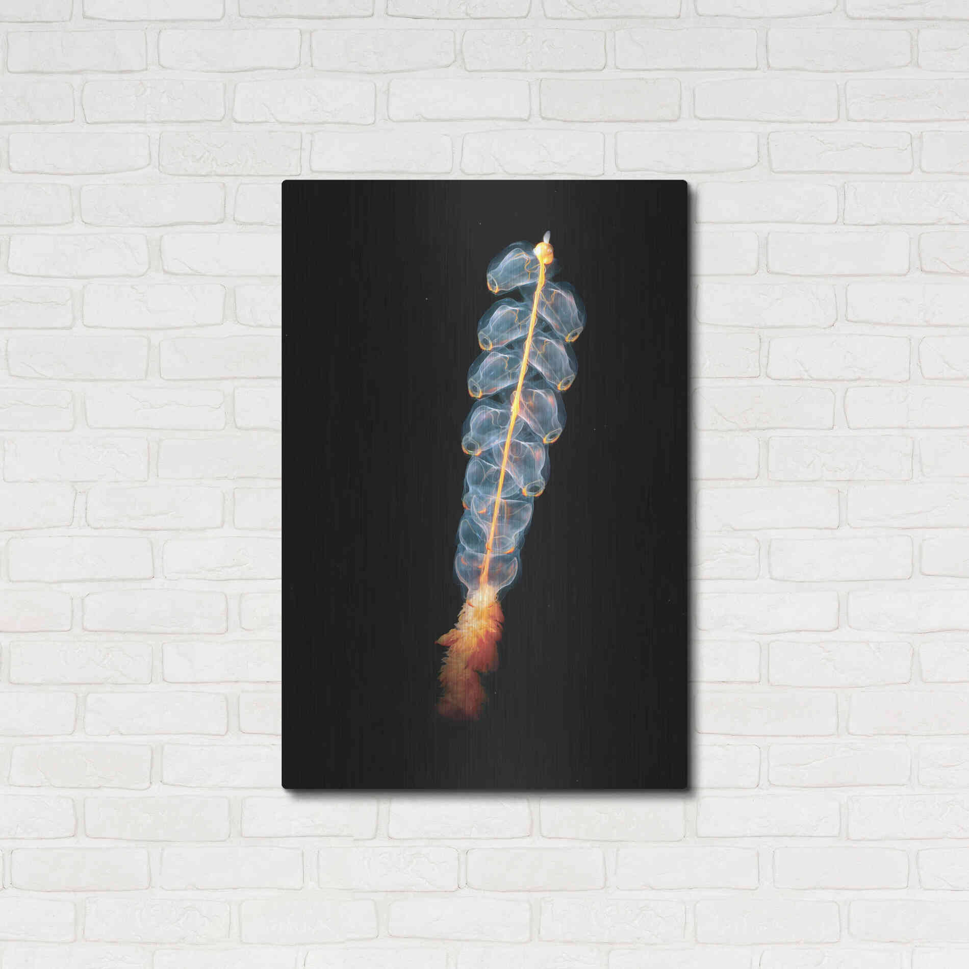 Luxe Metal Art 'Deep Sea Rocket' by Epic Portfolio, Metal Wall Art,24x36