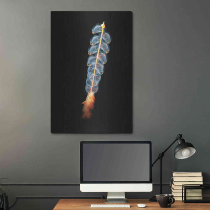 Luxe Metal Art 'Deep Sea Rocket' by Epic Portfolio, Metal Wall Art,24x36
