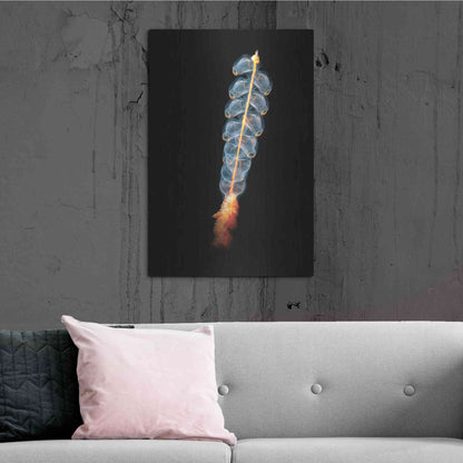 Luxe Metal Art 'Deep Sea Rocket' by Epic Portfolio, Metal Wall Art,24x36