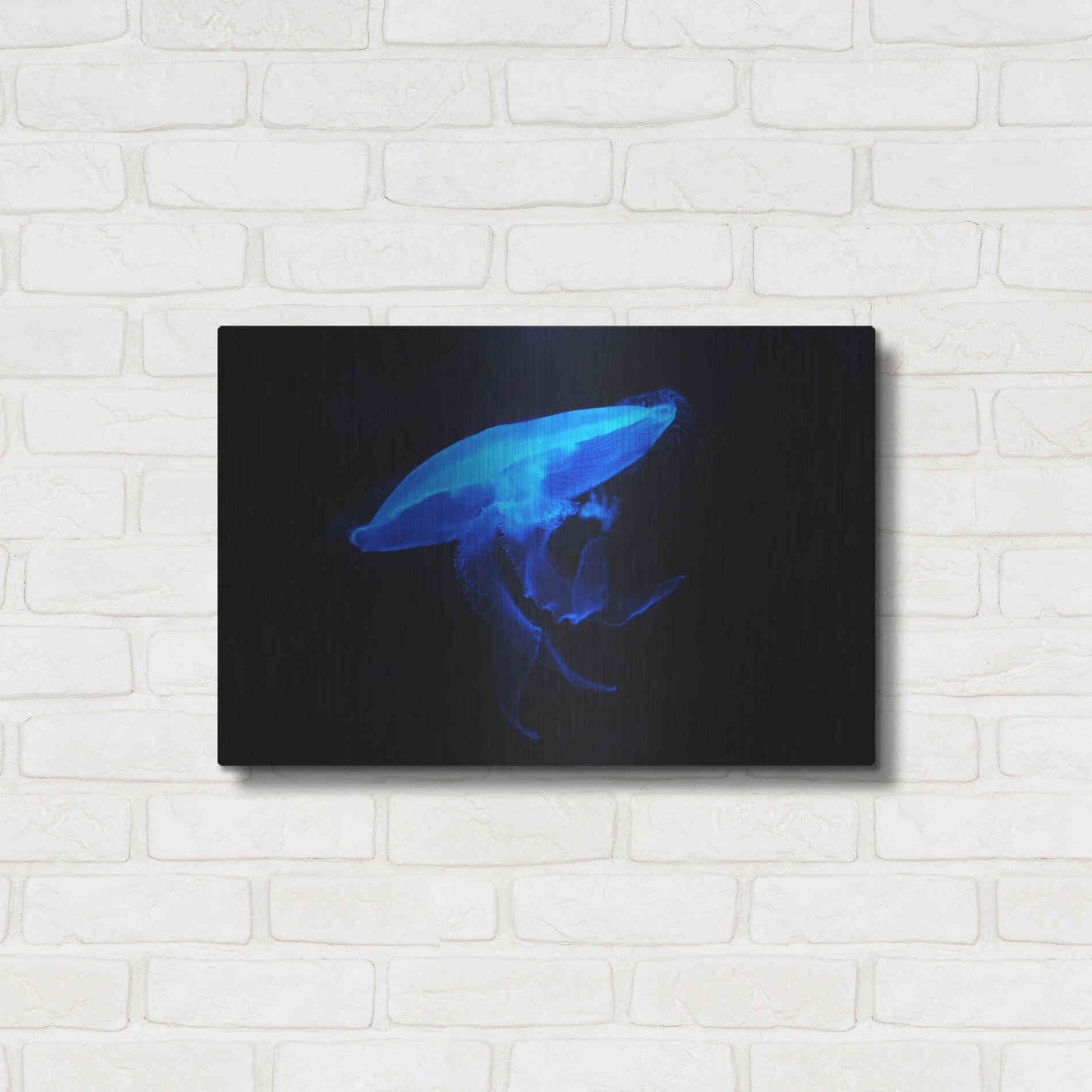 Luxe Metal Art 'Swan Lake' by Epic Portfolio, Metal Wall Art,24x16