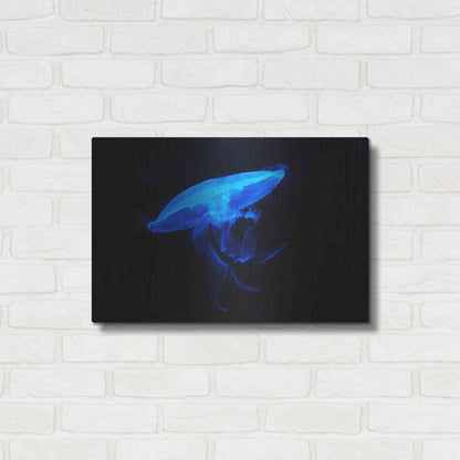 Luxe Metal Art 'Swan Lake' by Epic Portfolio, Metal Wall Art,24x16