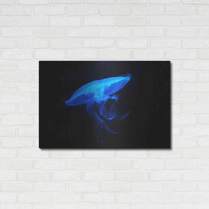 Luxe Metal Art 'Swan Lake' by Epic Portfolio, Metal Wall Art,36x24