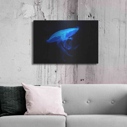 Luxe Metal Art 'Swan Lake' by Epic Portfolio, Metal Wall Art,36x24
