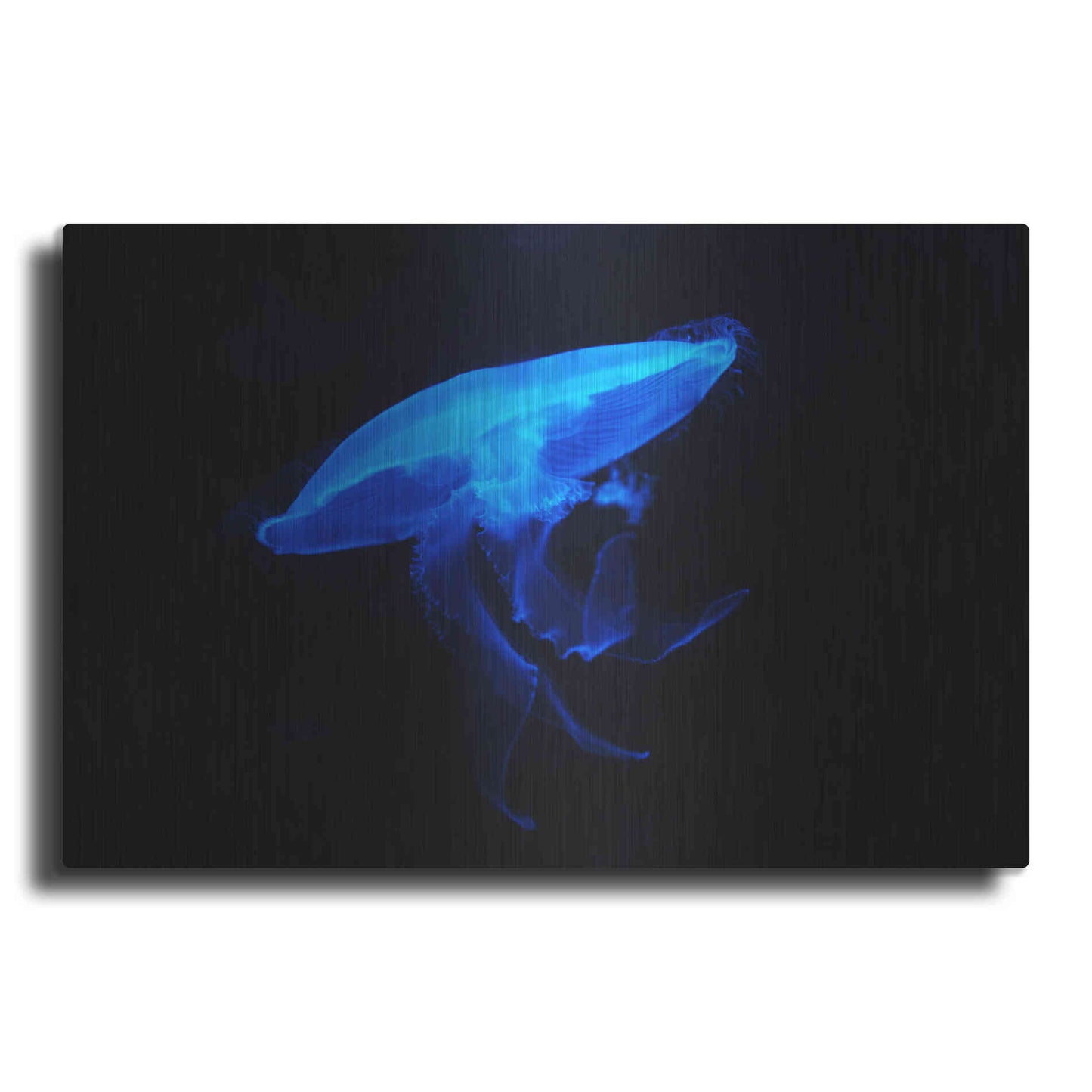 Luxe Metal Art 'Swan Lake' by Epic Portfolio, Metal Wall Art