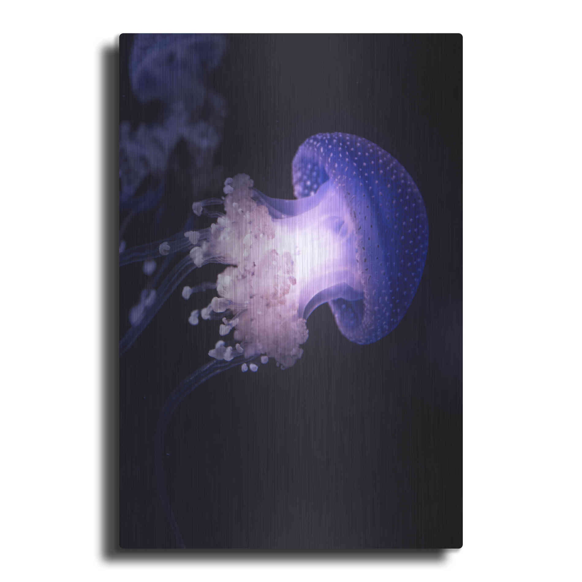 Luxe Metal Art 'Underwater Mushroom' by Epic Portfolio, Metal Wall Art