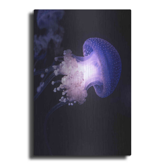 Luxe Metal Art 'Underwater Mushroom' by Epic Portfolio, Metal Wall Art