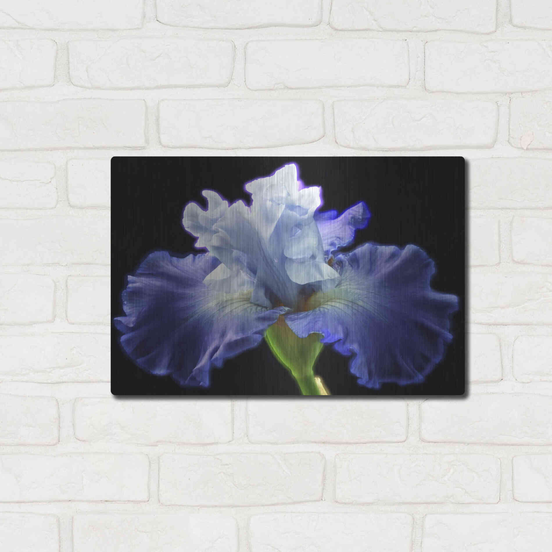 Luxe Metal Art 'Violet Blaze ' by Epic Portfolio, Metal Wall Art,16x12