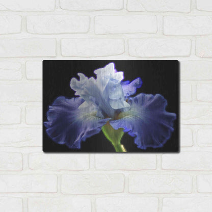 Luxe Metal Art 'Violet Blaze ' by Epic Portfolio, Metal Wall Art,16x12