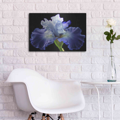 Luxe Metal Art 'Violet Blaze ' by Epic Portfolio, Metal Wall Art,24x16