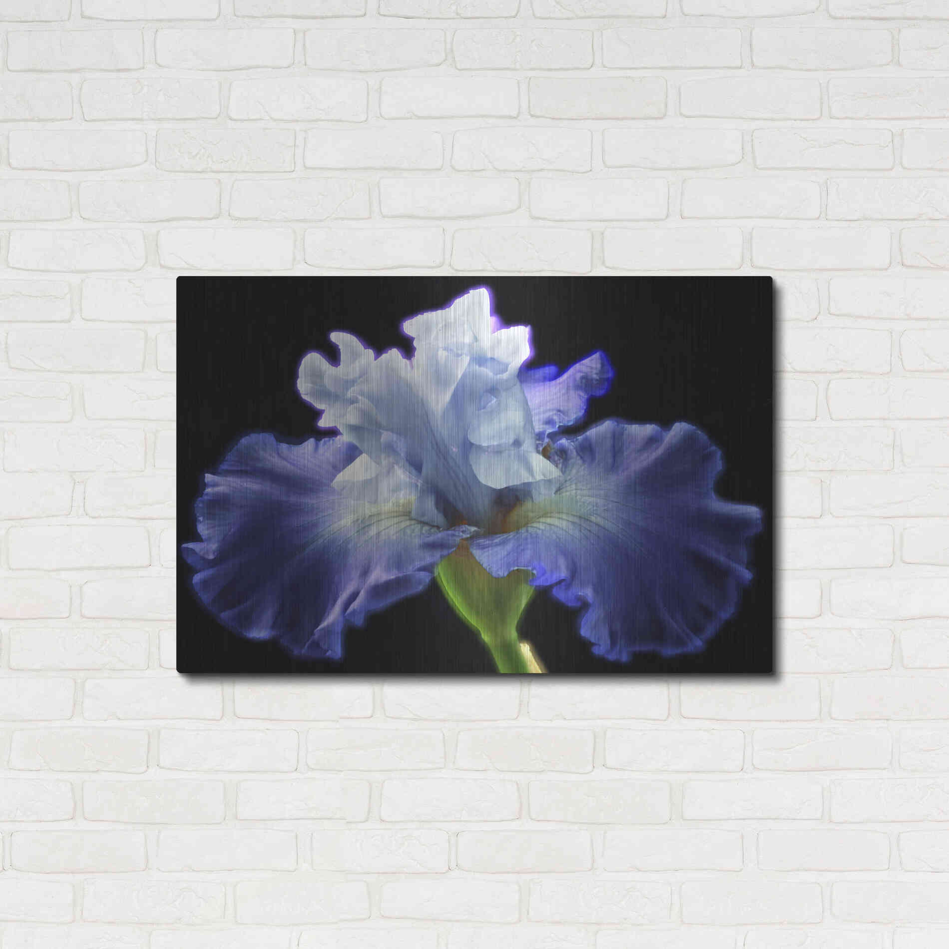 Luxe Metal Art 'Violet Blaze ' by Epic Portfolio, Metal Wall Art,36x24