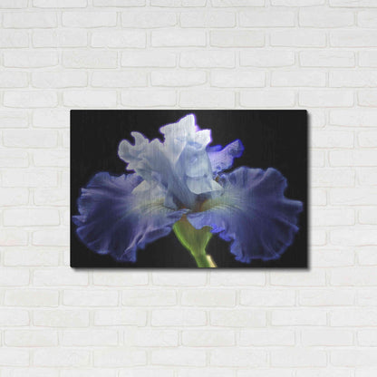 Luxe Metal Art 'Violet Blaze ' by Epic Portfolio, Metal Wall Art,36x24