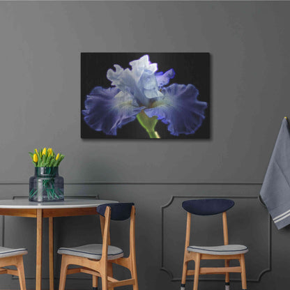 Luxe Metal Art 'Violet Blaze ' by Epic Portfolio, Metal Wall Art,36x24