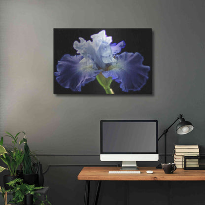 Luxe Metal Art 'Violet Blaze ' by Epic Portfolio, Metal Wall Art,36x24