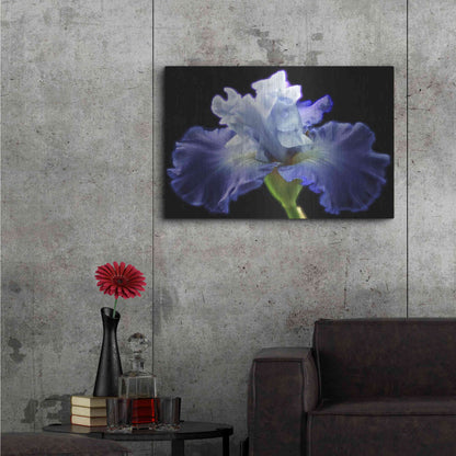 Luxe Metal Art 'Violet Blaze ' by Epic Portfolio, Metal Wall Art,36x24