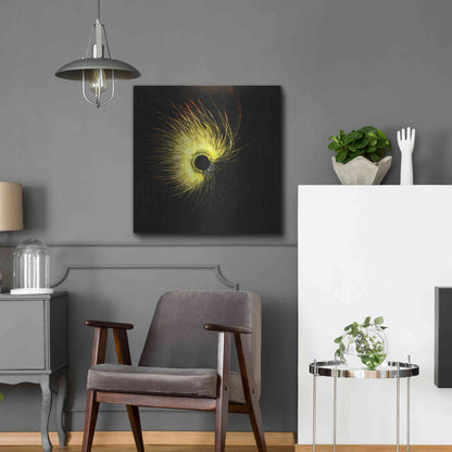 Luxe Metal Art 'Luminescence' by Rita Shimelfarb, Metal Wall Art,24x24