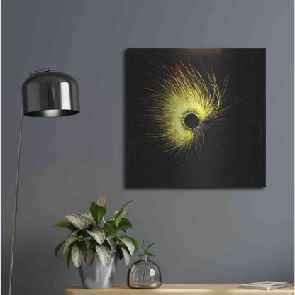 Luxe Metal Art 'Luminescence' by Rita Shimelfarb, Metal Wall Art,24x24