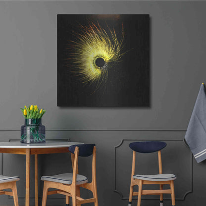 Luxe Metal Art 'Luminescence' by Rita Shimelfarb, Metal Wall Art,36x36