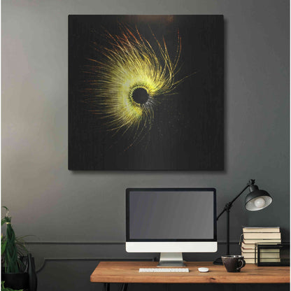 Luxe Metal Art 'Luminescence' by Rita Shimelfarb, Metal Wall Art,36x36