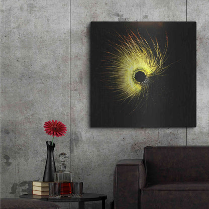 Luxe Metal Art 'Luminescence' by Rita Shimelfarb, Metal Wall Art,36x36