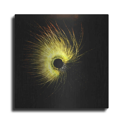 Luxe Metal Art 'Luminescence' by Rita Shimelfarb, Metal Wall Art