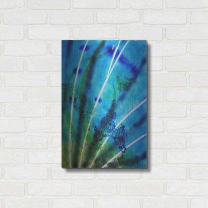 Luxe Metal Art 'Lion Fish Fin' by Rita Shimelfarb, Metal Wall Art,16x24