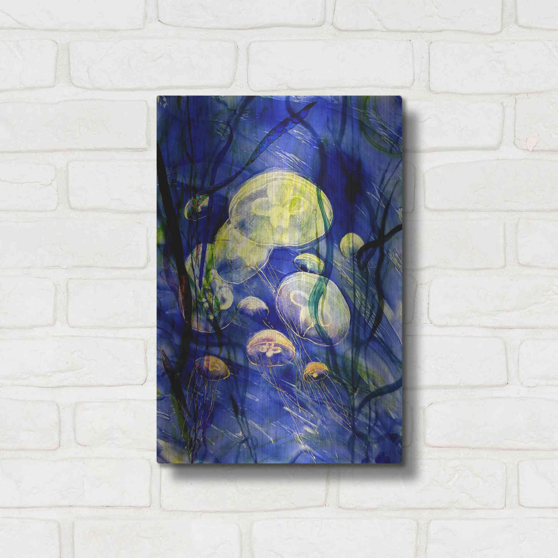 Luxe Metal Art 'Swimming With The Jellies' by Rita Shimelfarb, Metal Wall Art,12x16