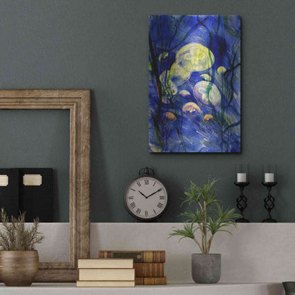 Luxe Metal Art 'Swimming With The Jellies' by Rita Shimelfarb, Metal Wall Art,12x16