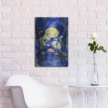Luxe Metal Art 'Swimming With The Jellies' by Rita Shimelfarb, Metal Wall Art,16x24