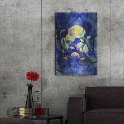Luxe Metal Art 'Swimming With The Jellies' by Rita Shimelfarb, Metal Wall Art,24x36