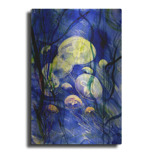 Luxe Metal Art 'Swimming With The Jellies' by Rita Shimelfarb, Metal Wall Art