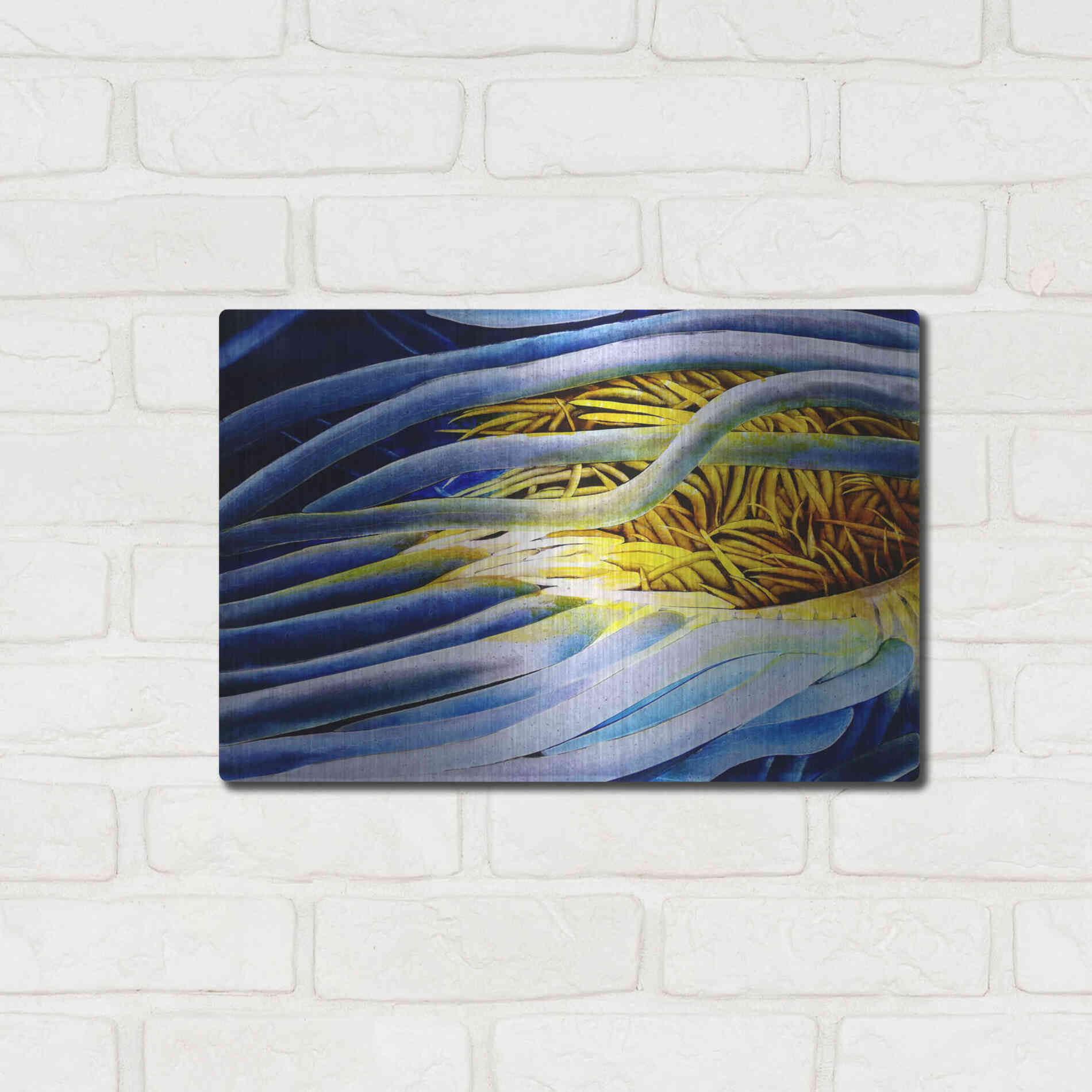 Luxe Metal Art 'Anemone Cerianthid' by Rita Shimelfarb, Metal Wall Art,16x12