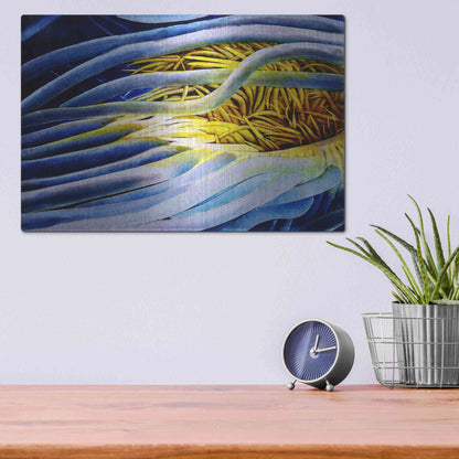 Luxe Metal Art 'Anemone Cerianthid' by Rita Shimelfarb, Metal Wall Art,16x12