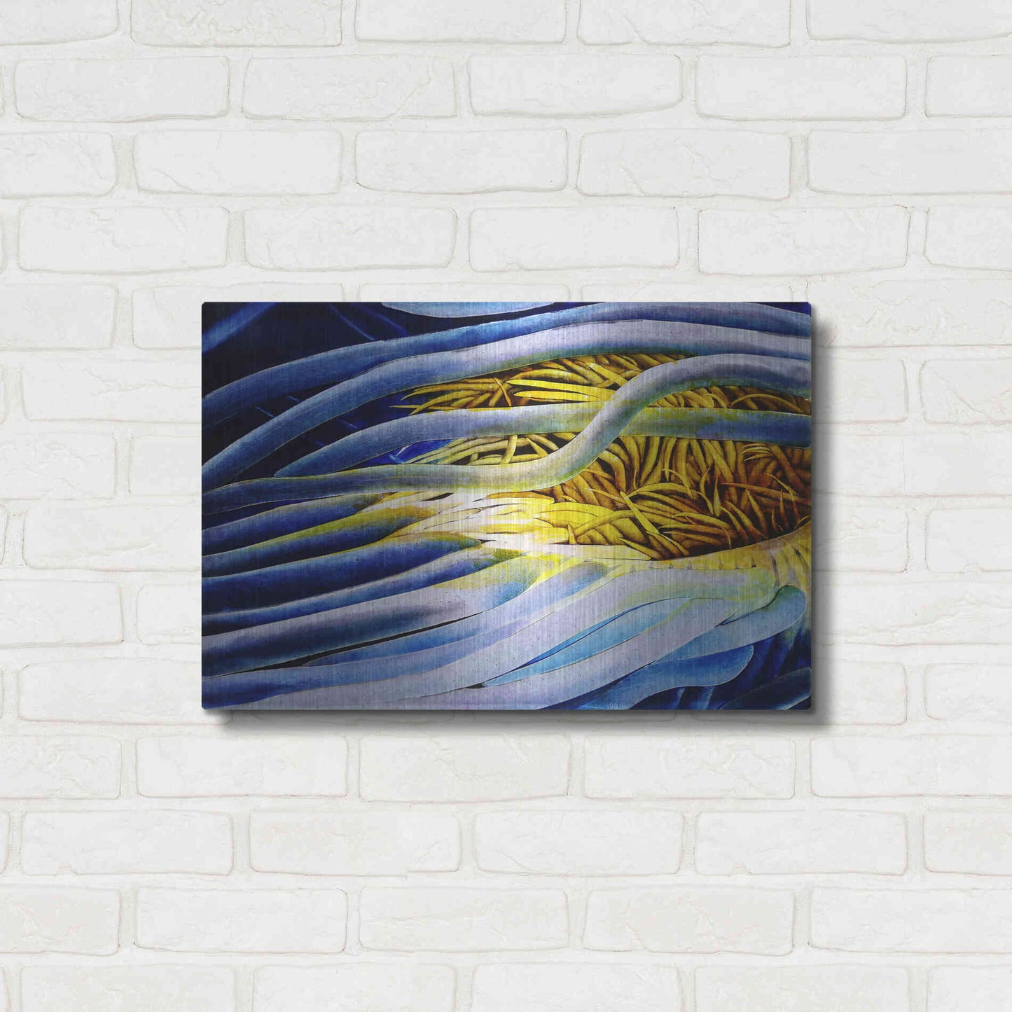 Luxe Metal Art 'Anemone Cerianthid' by Rita Shimelfarb, Metal Wall Art,24x16