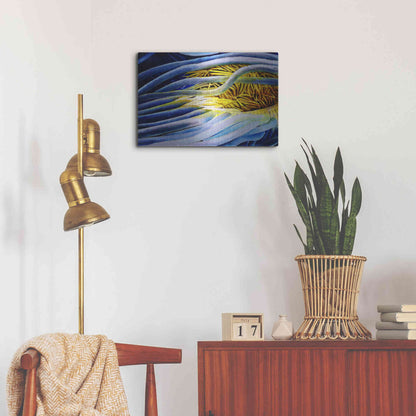 Luxe Metal Art 'Anemone Cerianthid' by Rita Shimelfarb, Metal Wall Art,24x16