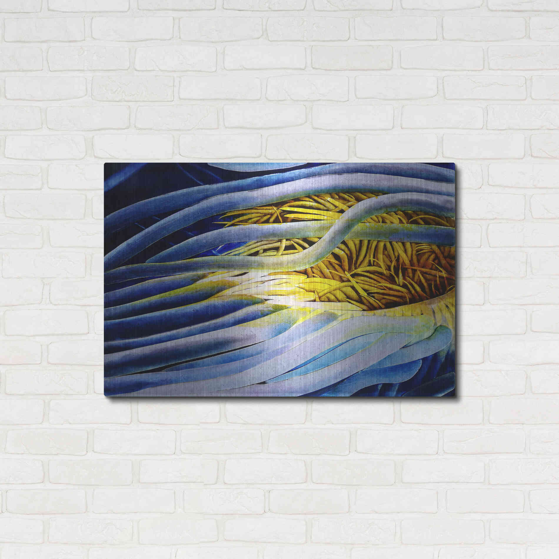 Luxe Metal Art 'Anemone Cerianthid' by Rita Shimelfarb, Metal Wall Art,36x24