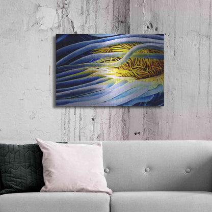 Luxe Metal Art 'Anemone Cerianthid' by Rita Shimelfarb, Metal Wall Art,36x24