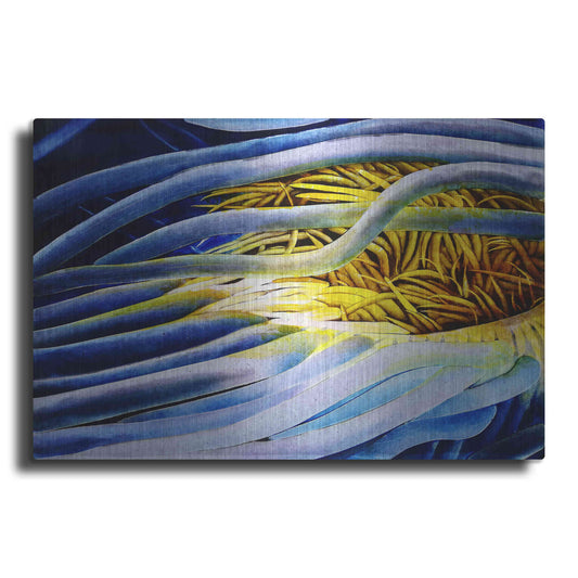 Luxe Metal Art 'Anemone Cerianthid' by Rita Shimelfarb, Metal Wall Art