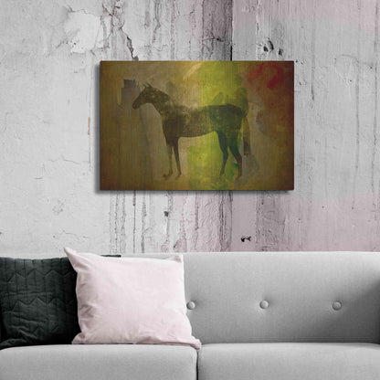 Luxe Metal Art 'Cheval Noir v2' by Ryan Fowler, Metal Wall Art,36x24