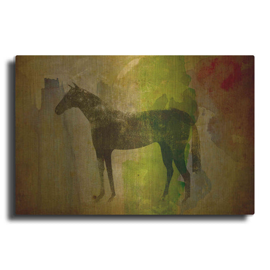 Luxe Metal Art 'Cheval Noir v2' by Ryan Fowler, Metal Wall Art