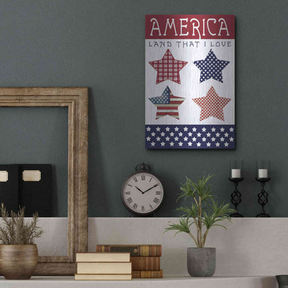 Luxe Metal Art 'Stars of America' by Cindy Jacobs, Metal Wall Art,12x16